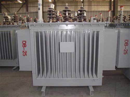 芜湖S13-100KVA/10KV/0.4KV油浸式变压器